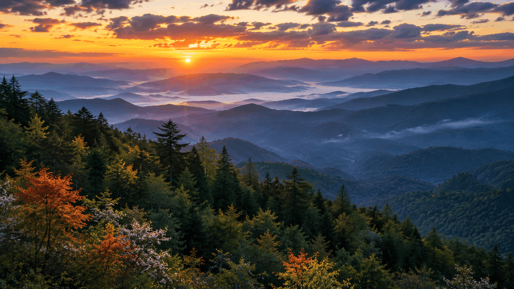 What Is Great Smoky Mountains National Park? Inside America’s Most Visited Park